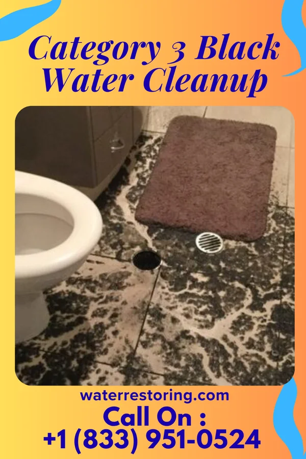 Category 3 Black Water Cleanup in Le Roy, MI