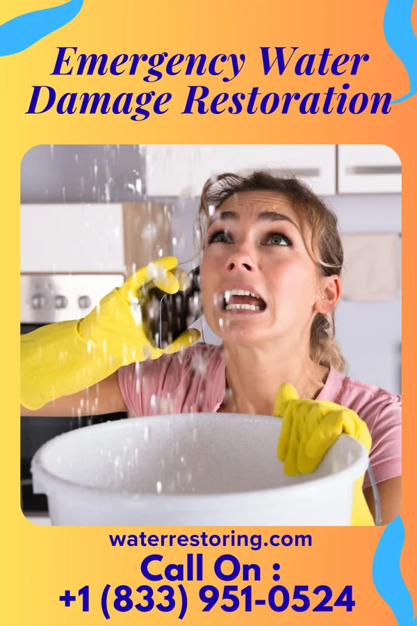 Emergency Water Damage Restoration in Le Roy, MI