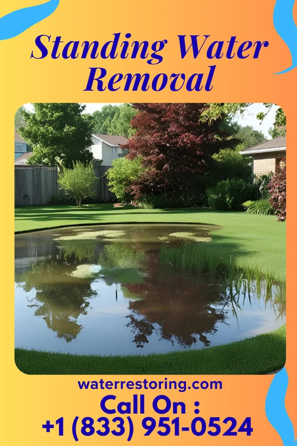 Standing Water Removal in Le Roy, MI